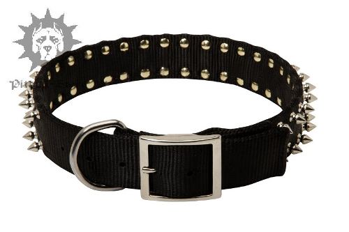 Spiked Dog Collar UK