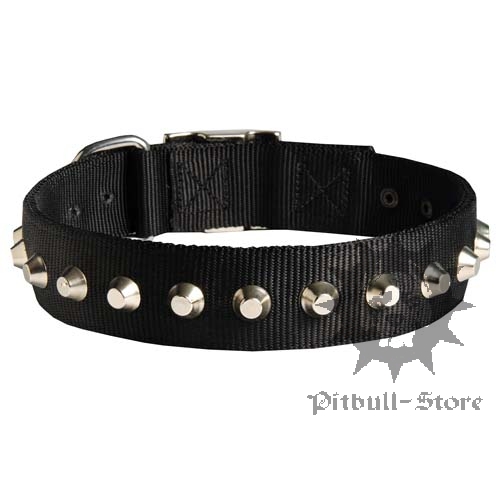 Nylon Dog Collar