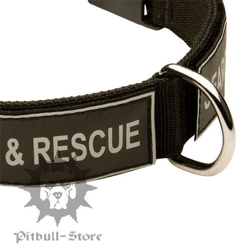 Nylon Dog Collar