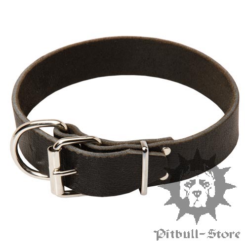 Pitbull Dog Collars UK