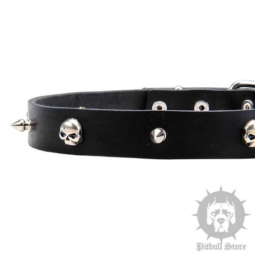 Leather Pirate Dog Collar