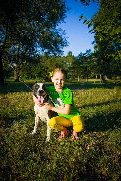 Friendly Pitbull