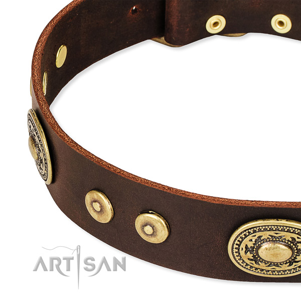 Pitbull Collars