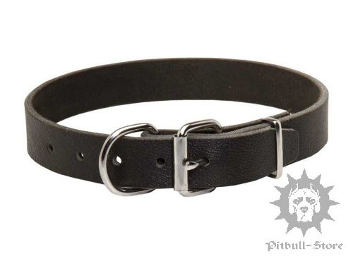 Pitbull Collars UK