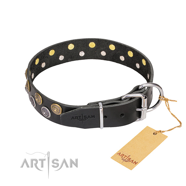 Pitbull Dog Collar