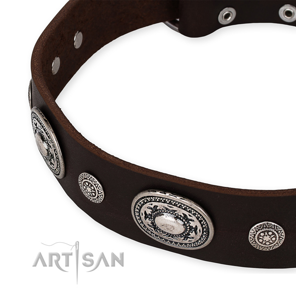 Pitbull Dog Collars