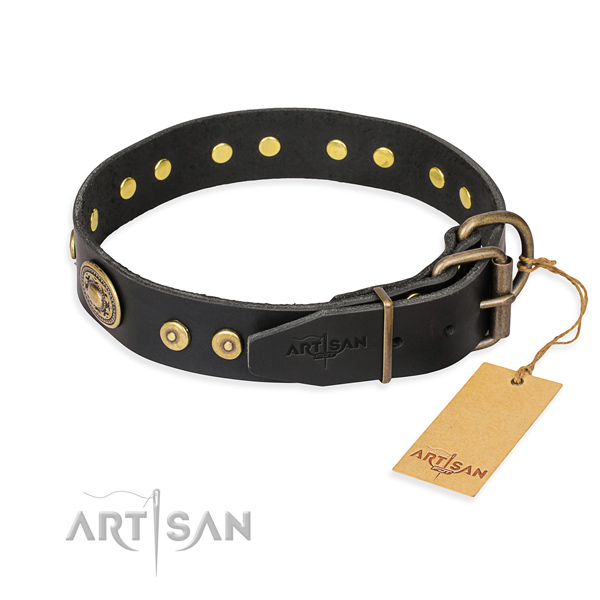 Pretty Dog Collars