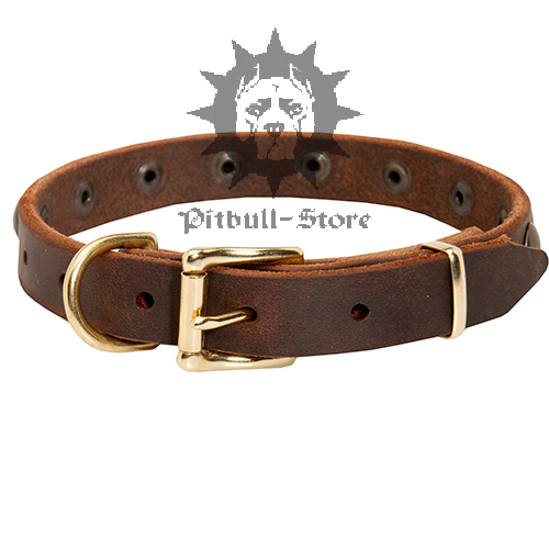 Puppy Leather Collar