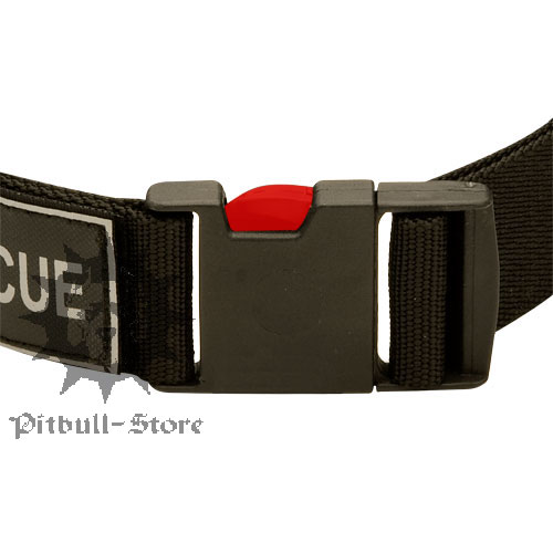 All Weather Dog Collar