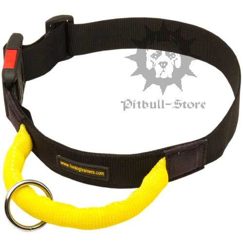 Nylon Dog Collar