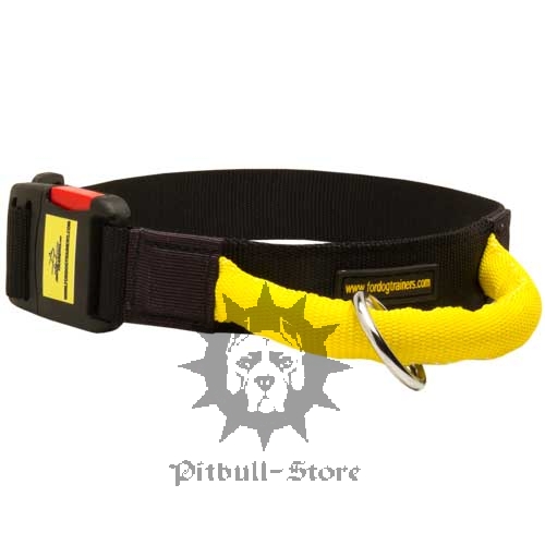 Dog Collar with Handle