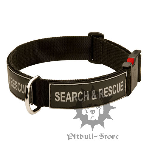 Quick Release Dog Collar