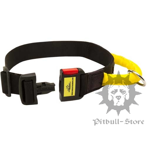 Nylon Dog Collar