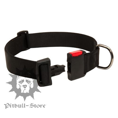 Nylon Dog Collar