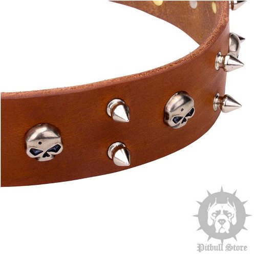 Leather Skull Dog Collar