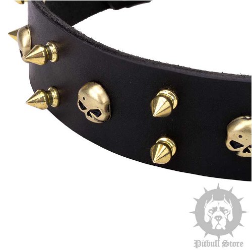 Rockstar Dog Collar