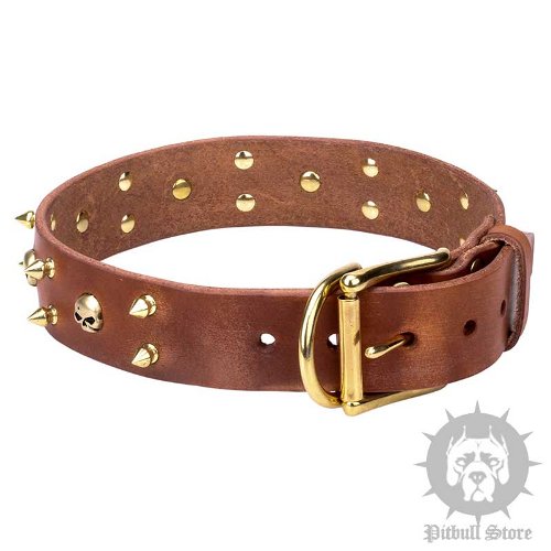 Pirate Dog Collar