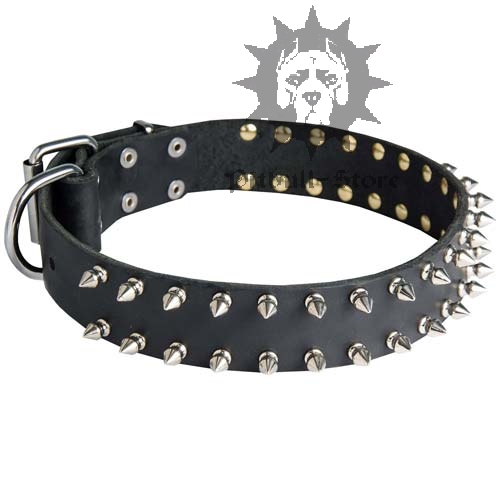 Spiked Dog Collar