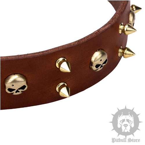 Rock Star Dog Collars