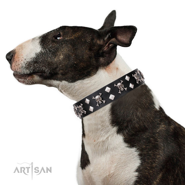 Wide Leather Dog Collars