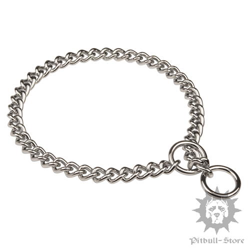 Pitbull Dog Chain Collar