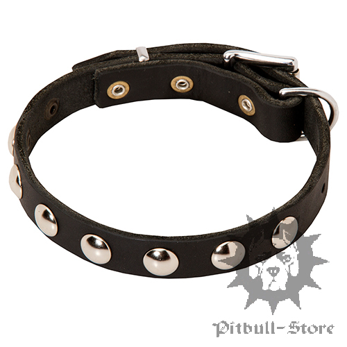 Leather Elegant Dog Collar