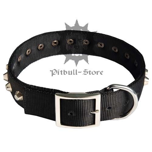 Nylon Dog Collar