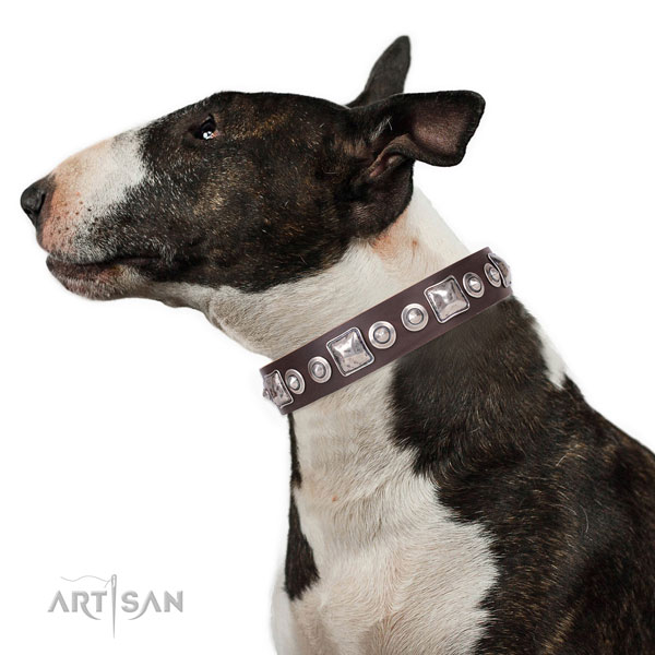 Soft Dog Collar