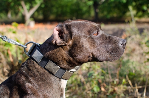 Soft Leather Dog Collar