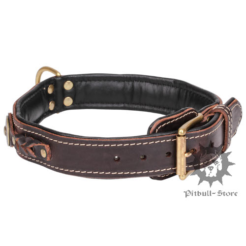 Padded Dog Collar