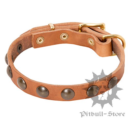 Puppy Leather Collar