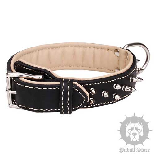 Spiked Dog Collar