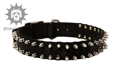 Pitbull Collar Spiked