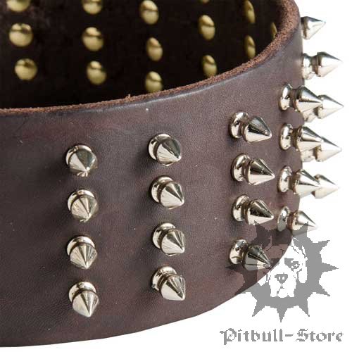 Spiked Dog Collar