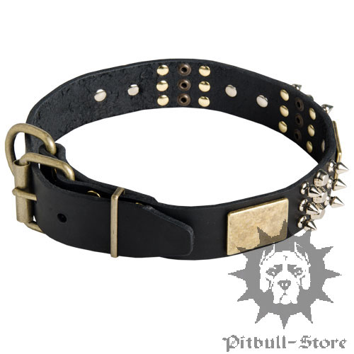 Spiked Dog Collar