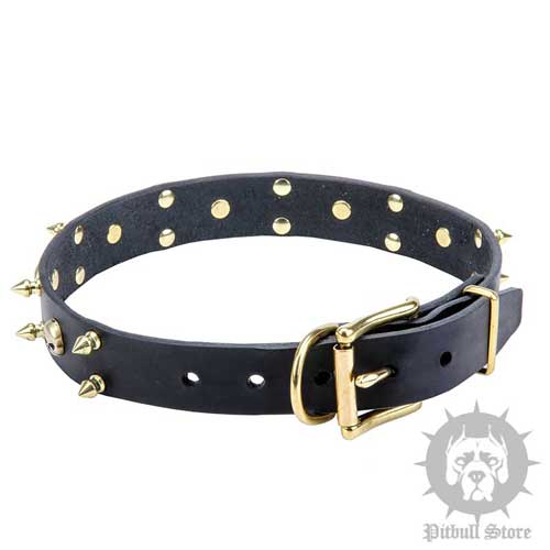 Spiked Dog Collar