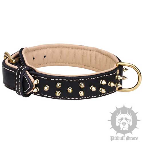 Leather Collar for Pitbull