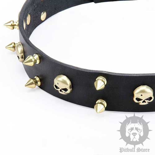 Staffordshire Bull Terrier Collar 