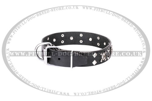 Staffy Leather Dog Collar