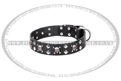 Staffy Leather Dog Collars UK