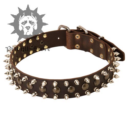 Spiked Dog Collar