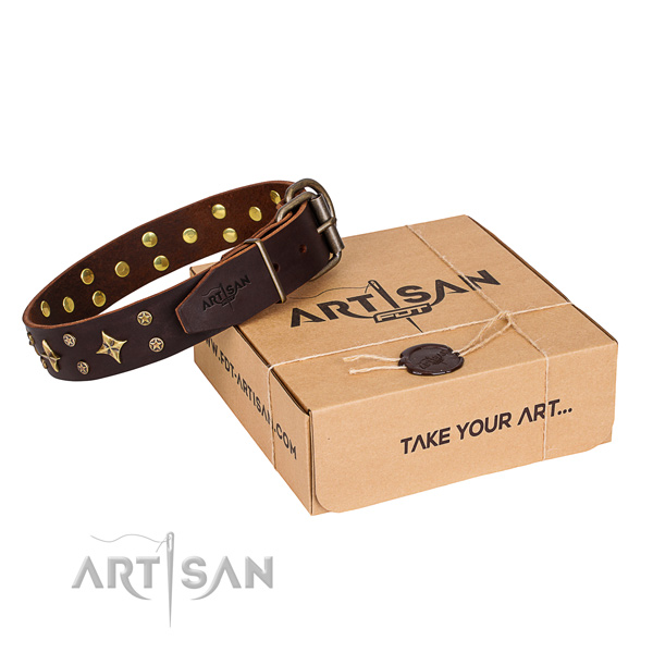 Star Dog Collar