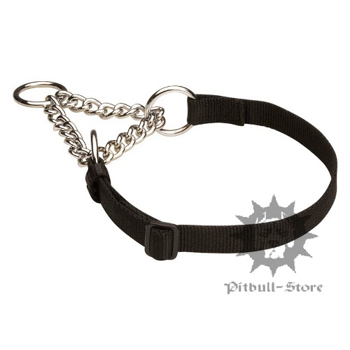 Nylon Martingale Dog Collar