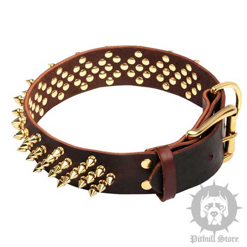 Spiked Leather Dog Collar