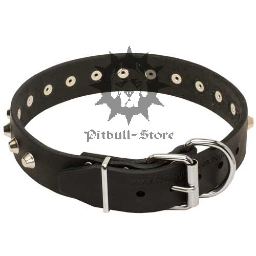 Leather Dog Collar