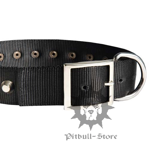 Studded Dog Collar