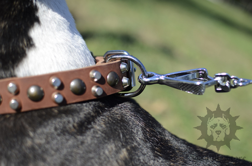 Durable Leather Dog Collar