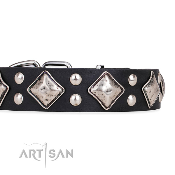 Studded Dog Collars for Large Dogs