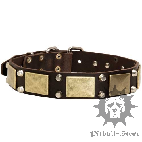 Stylish Dog Collar