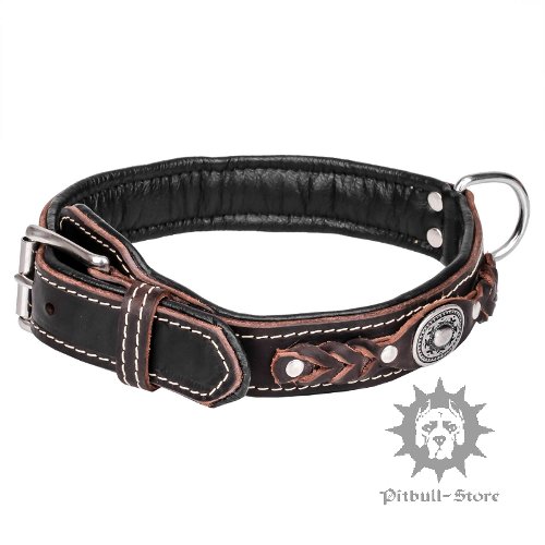 Stylish Dog Collar